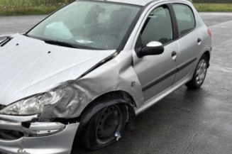 Porte avant gauche PEUGEOT 206