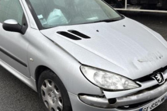 Porte avant gauche PEUGEOT 206