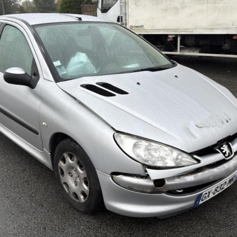 Porte avant gauche PEUGEOT 206 Photo n°11