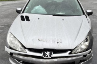 Porte avant gauche PEUGEOT 206