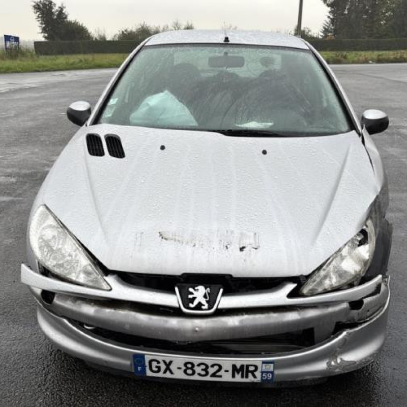 Porte avant gauche PEUGEOT 206 Photo n°12