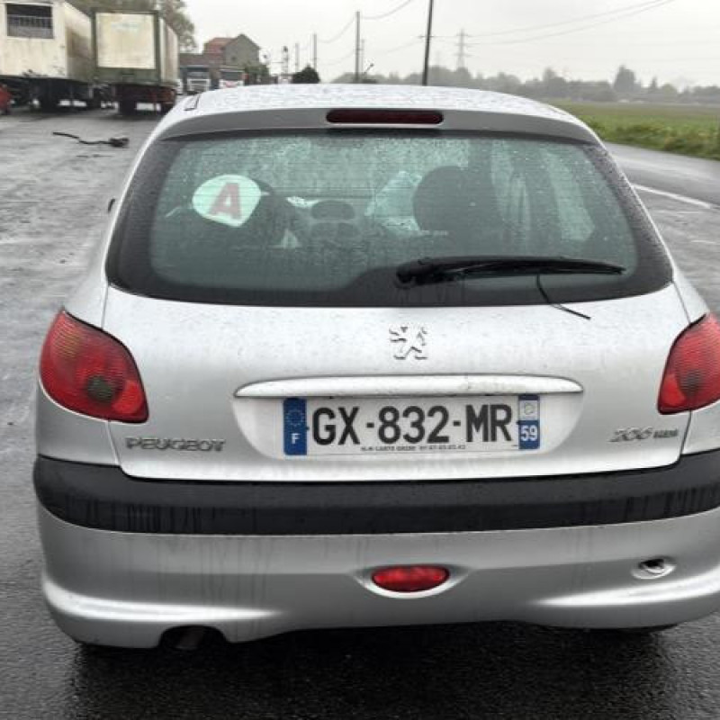 Porte avant gauche PEUGEOT 206 Photo n°14