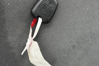 Porte avant gauche PEUGEOT 206