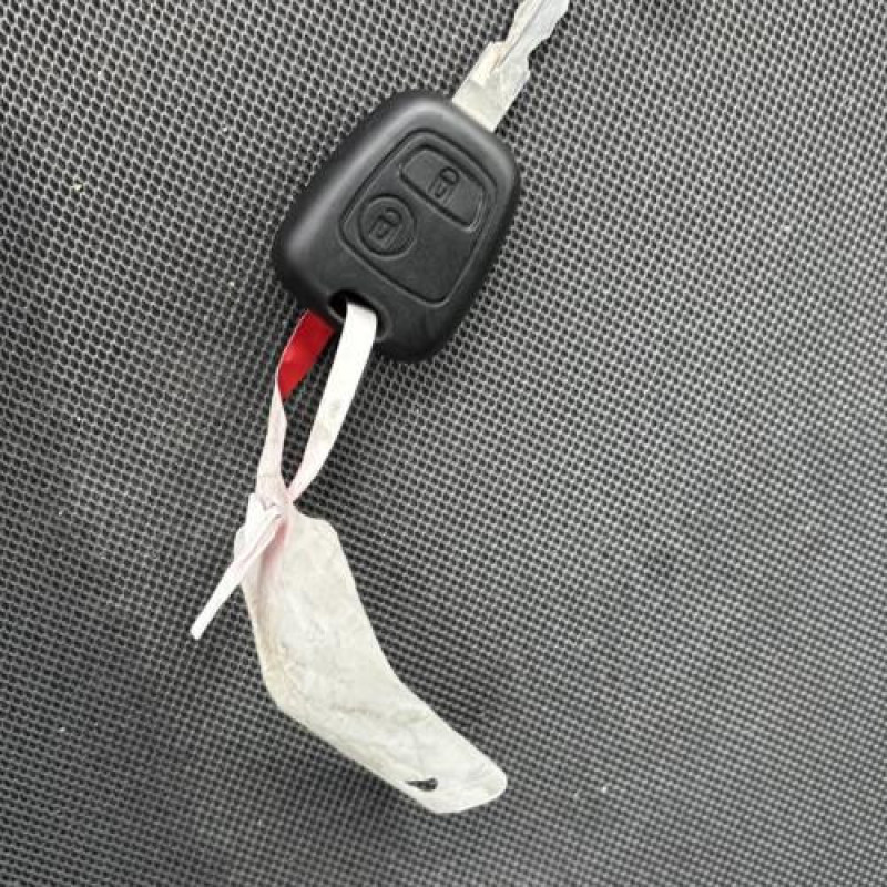 Porte avant gauche PEUGEOT 206 Photo n°16