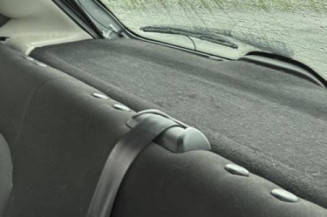 Porte avant gauche PEUGEOT 206