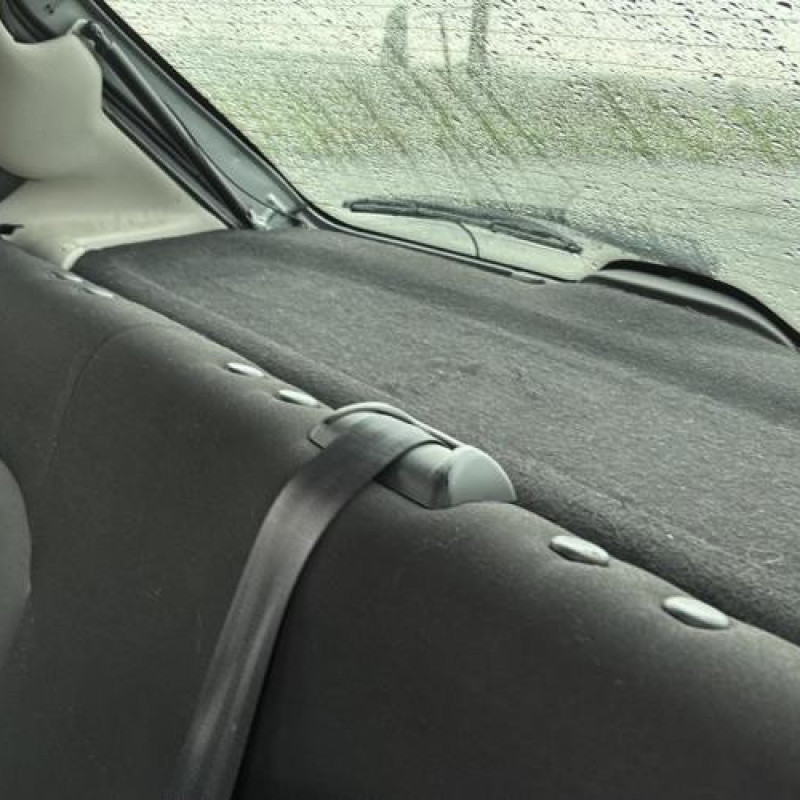 Porte avant gauche PEUGEOT 206 Photo n°19