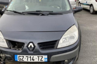 Malle/Hayon arriere RENAULT SCENIC 2
