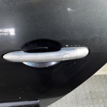 Porte arriere gauche RENAULT SCENIC 2