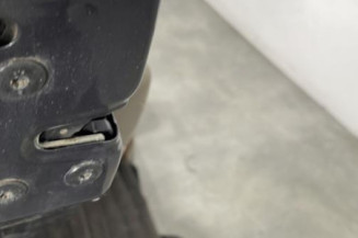 Porte arriere gauche RENAULT SCENIC 2