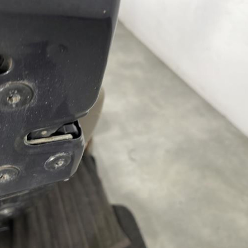 Porte arriere gauche RENAULT SCENIC 2 Photo n°3
