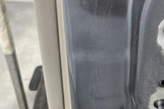 Porte arriere gauche RENAULT SCENIC 2