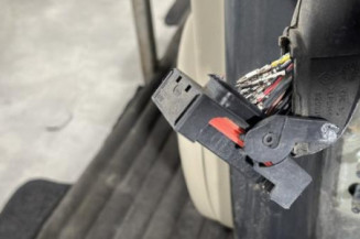 Porte arriere gauche RENAULT SCENIC 2