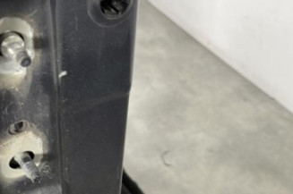 Porte avant droit RENAULT SCENIC 2