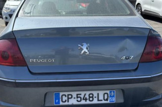 Aile avant gauche PEUGEOT 407
