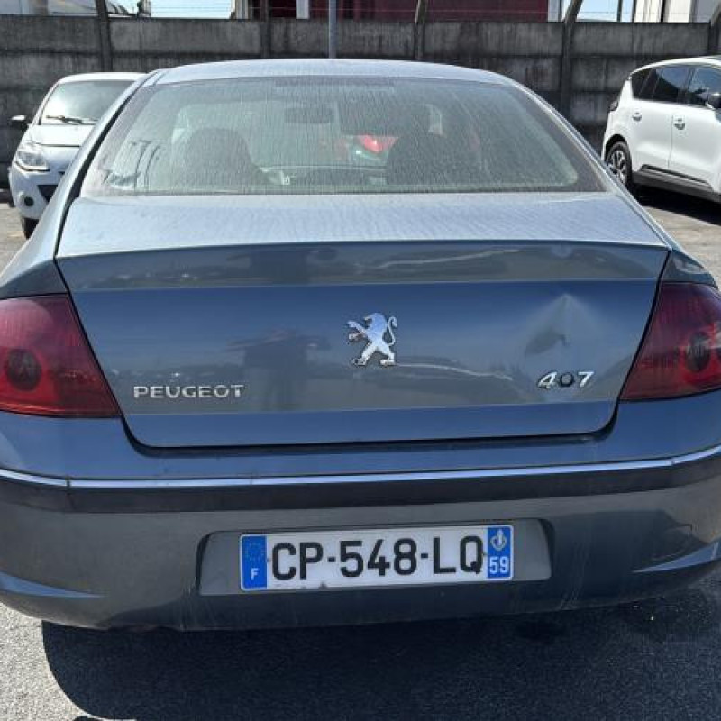 Aile avant gauche PEUGEOT 407 Photo n°10