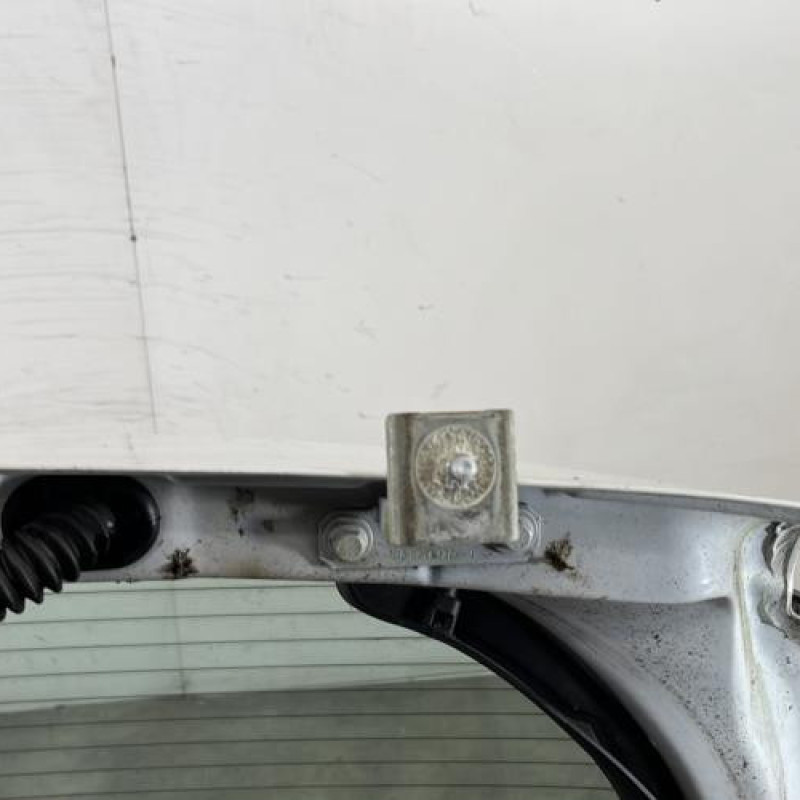 Malle/Hayon arriere RENAULT CLIO 3 Photo n°6