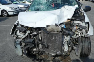 Malle/Hayon arriere RENAULT CLIO 3