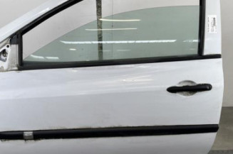 Porte avant gauche RENAULT CLIO 3 Photo n°1