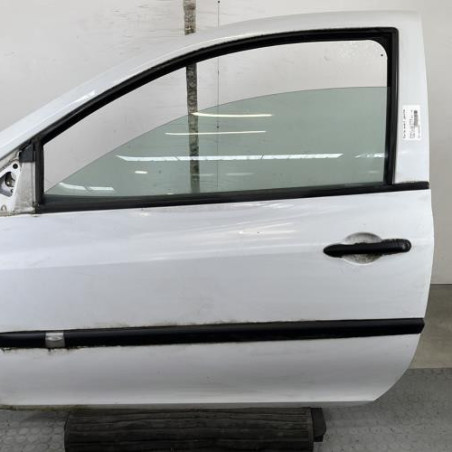 Porte avant gauche RENAULT CLIO 3 Photo n°1