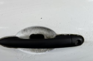 Porte avant gauche RENAULT CLIO 3