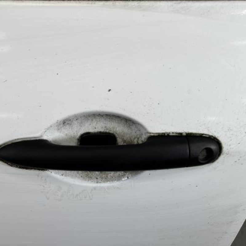 Porte avant gauche RENAULT CLIO 3 Photo n°2
