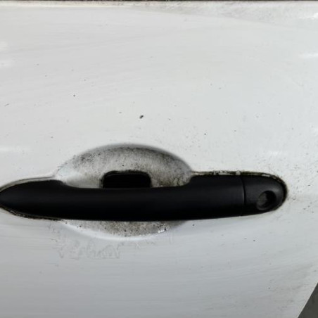 Porte avant gauche RENAULT CLIO 3