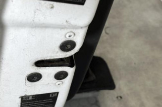 Porte avant gauche RENAULT CLIO 3