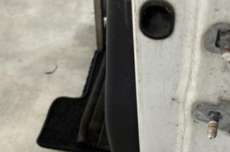 Porte avant gauche RENAULT CLIO 3