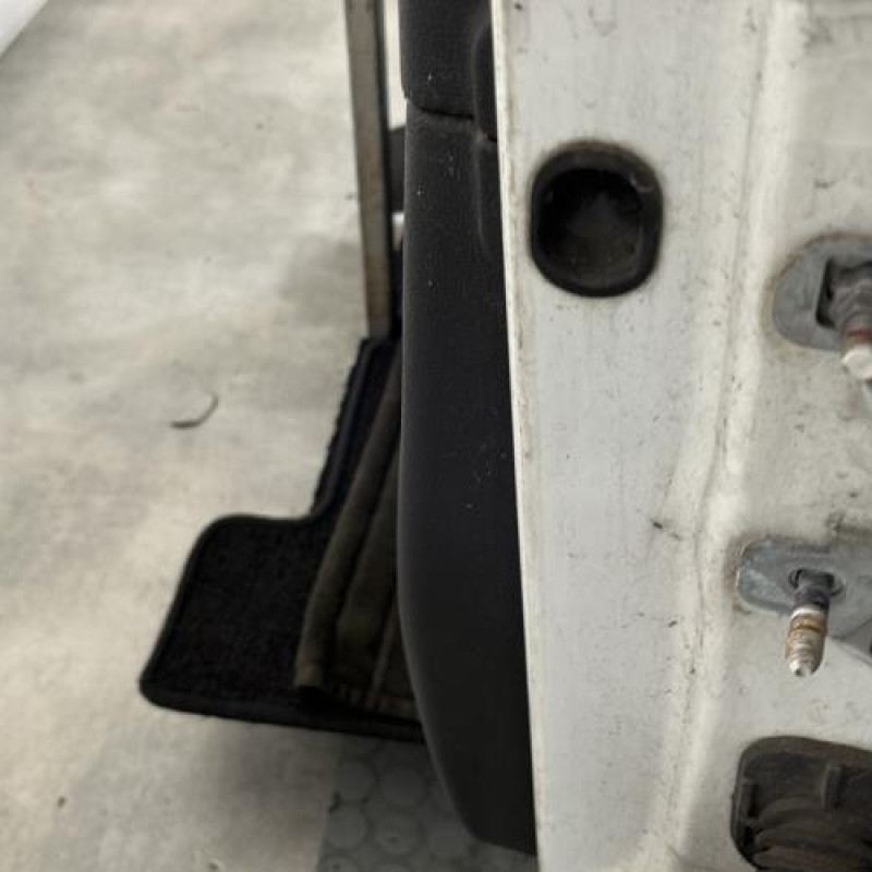 Porte avant gauche RENAULT CLIO 3 Photo n°4