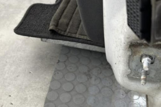 Porte avant gauche RENAULT CLIO 3