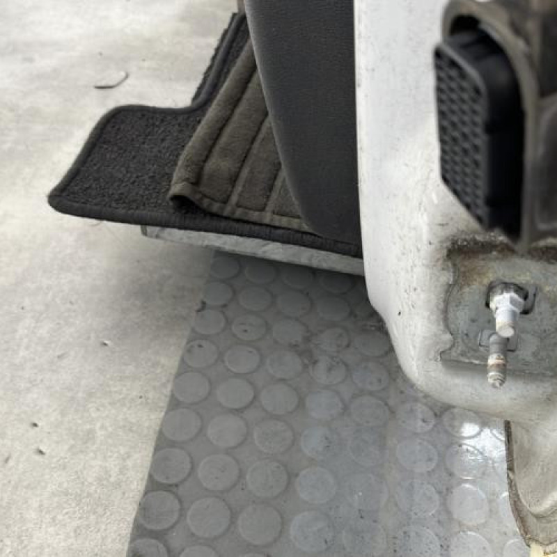 Porte avant gauche RENAULT CLIO 3 Photo n°5