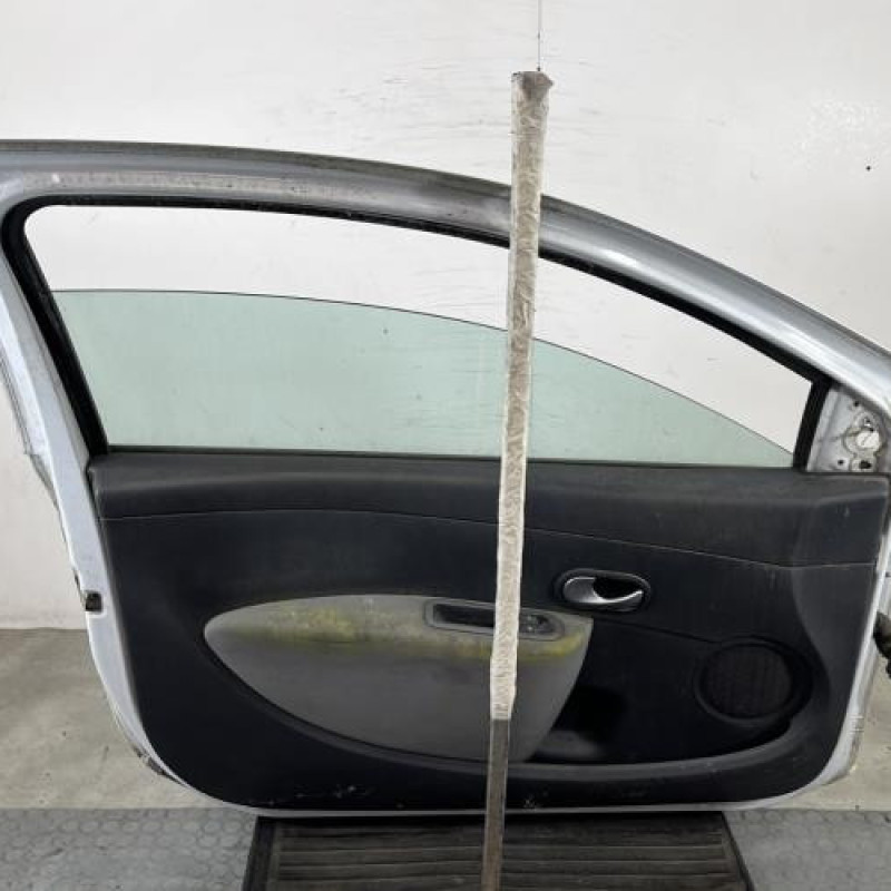 Porte avant gauche RENAULT CLIO 3 Photo n°6
