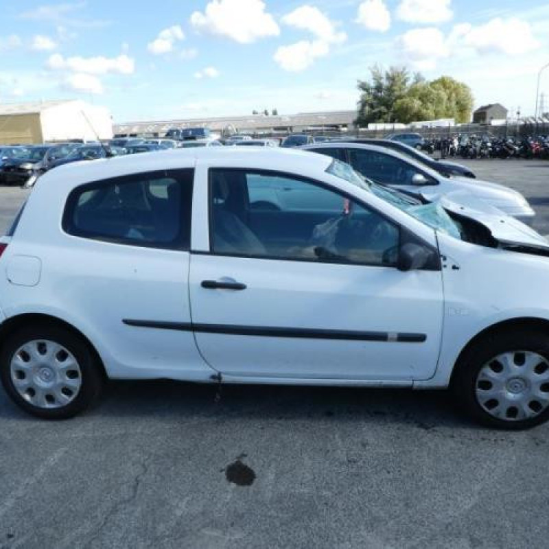 Porte avant gauche RENAULT CLIO 3 Photo n°8