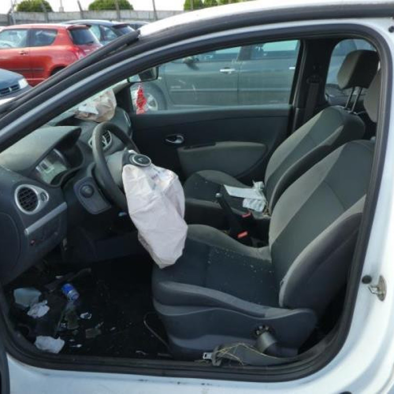 Porte avant gauche RENAULT CLIO 3 Photo n°9