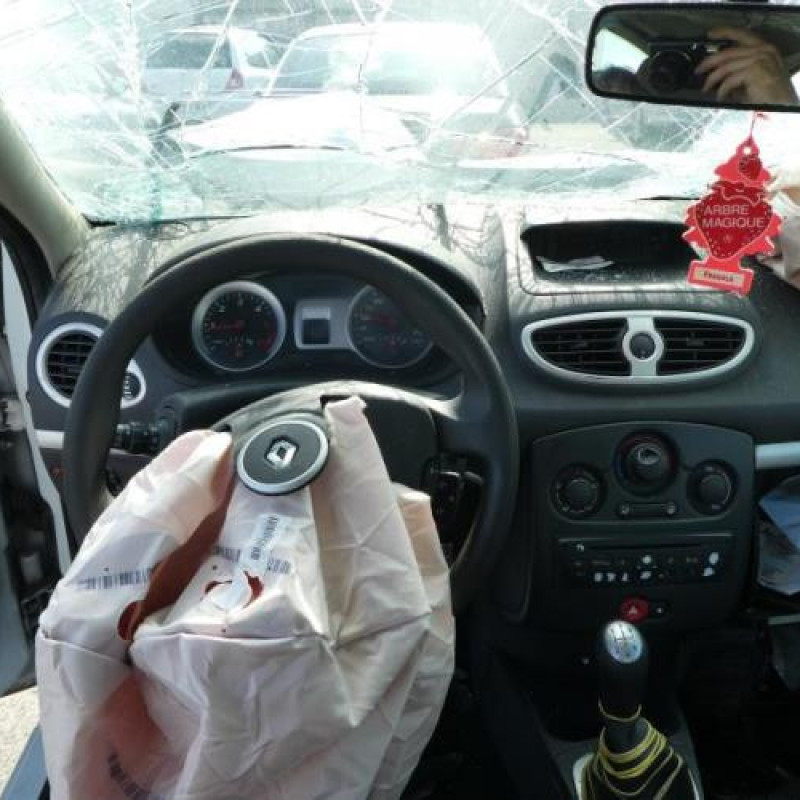 Porte avant gauche RENAULT CLIO 3 Photo n°10