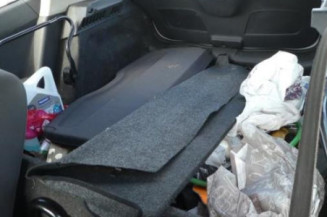 Porte avant gauche RENAULT CLIO 3