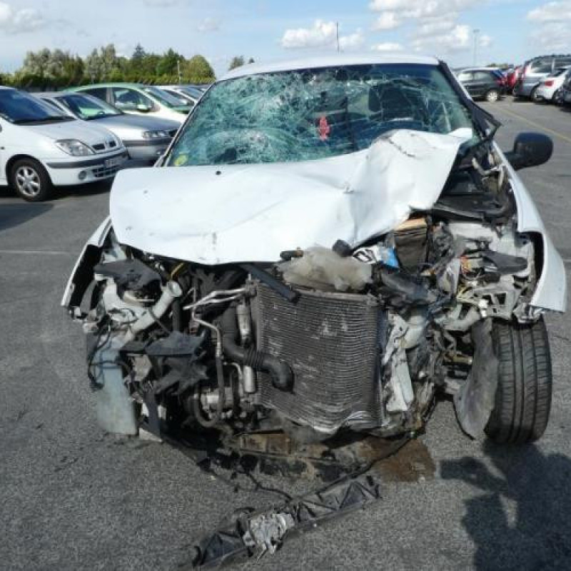 Porte avant gauche RENAULT CLIO 3 Photo n°13