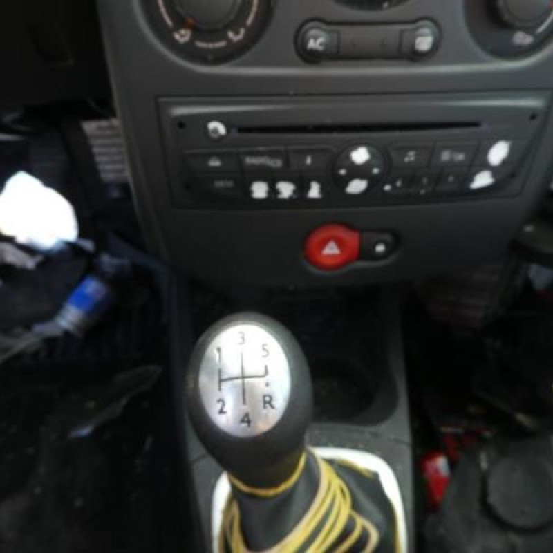 Porte avant gauche RENAULT CLIO 3 Photo n°14