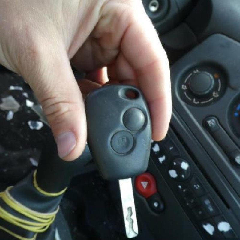 Porte avant gauche RENAULT CLIO 3 Photo n°16