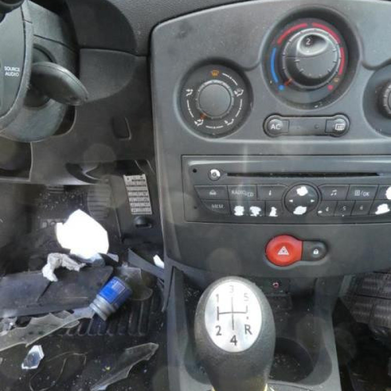 Porte avant gauche RENAULT CLIO 3 Photo n°17