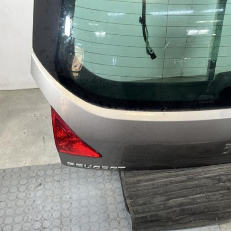 Malle/Hayon arriere PEUGEOT 3008 1 Photo n°5