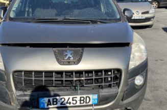 Malle/Hayon arriere PEUGEOT 3008 1