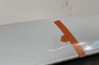 Porte avant gauche RENAULT CLIO 3