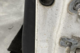 Porte avant gauche RENAULT CLIO 3