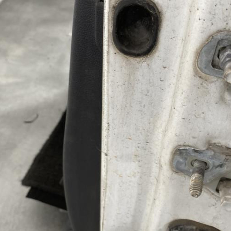 Porte avant gauche RENAULT CLIO 3 Photo n°5