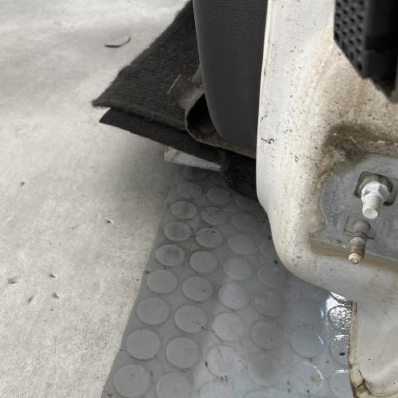 Porte avant gauche RENAULT CLIO 3 Photo n°6