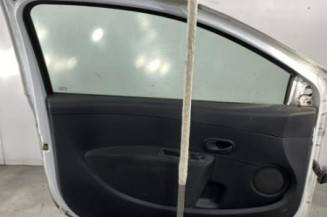 Porte avant gauche RENAULT CLIO 3