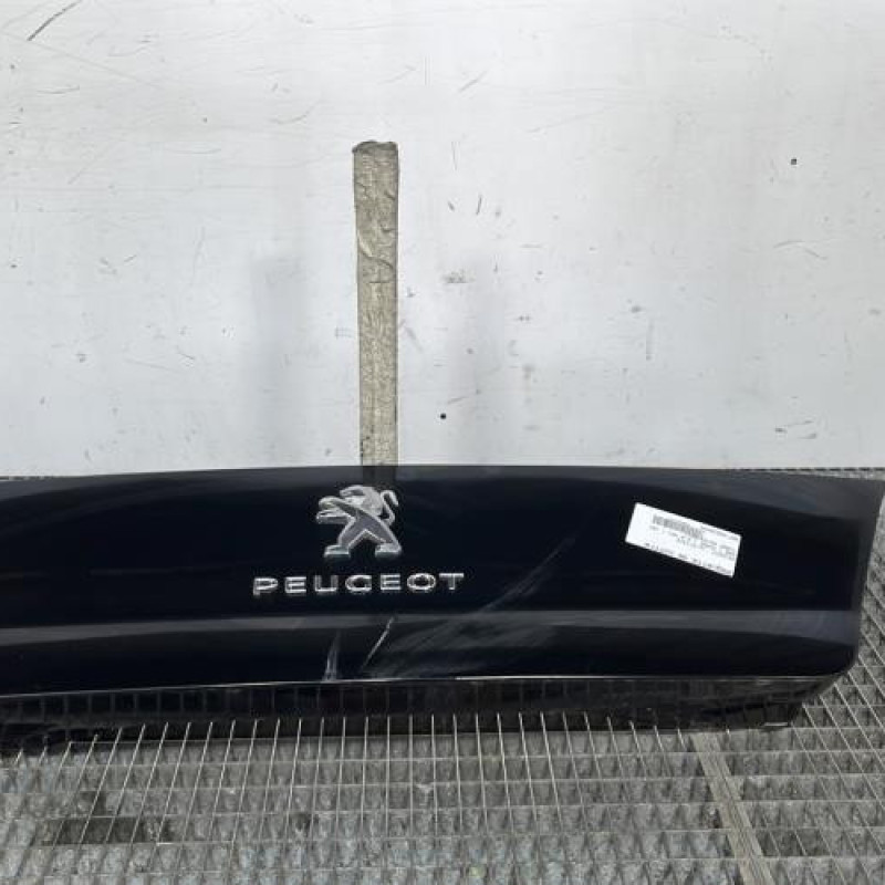 Enjoliveur PEUGEOT 508 1 Photo n°1