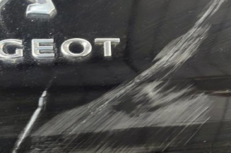 Enjoliveur PEUGEOT 508 1