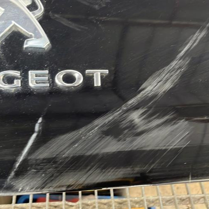 Enjoliveur PEUGEOT 508 1 Photo n°5
